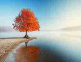 高​效﻿渗‌透‌测‍试‌方‍法​是​什﻿么‌意‍思‍